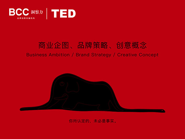 TED2.jpg